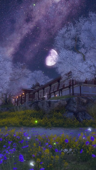 古风月夜樱花