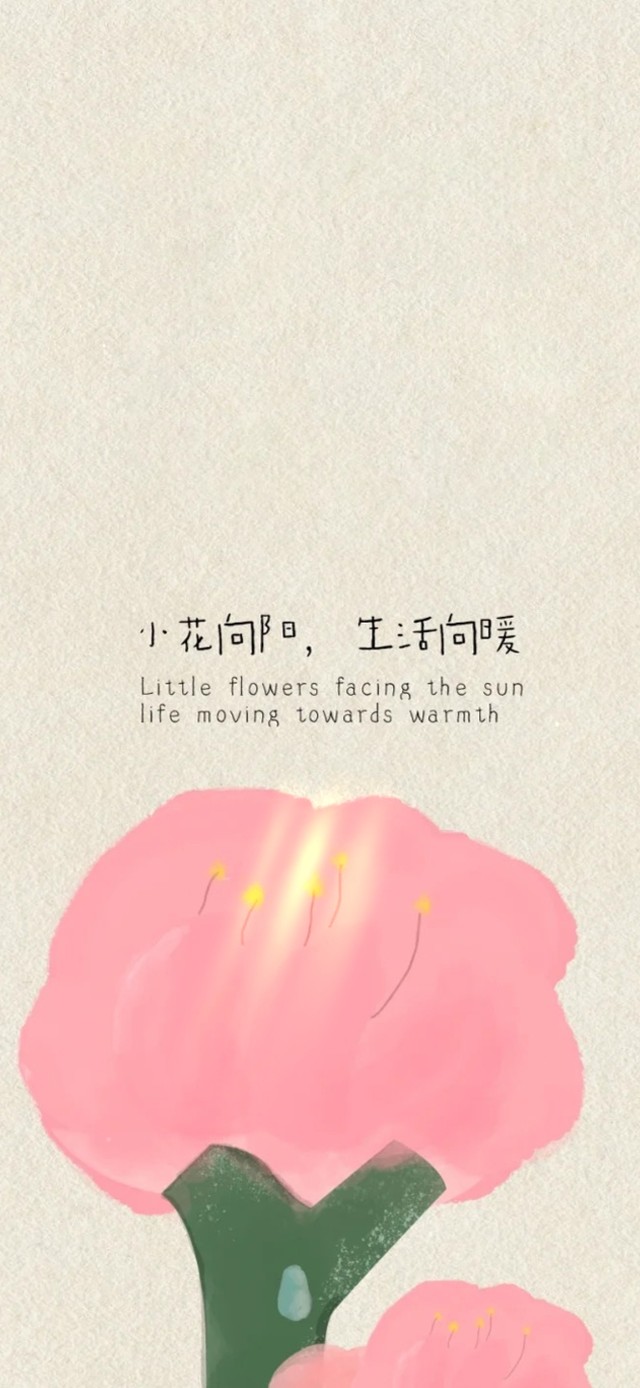 小花向阳，生活向暖