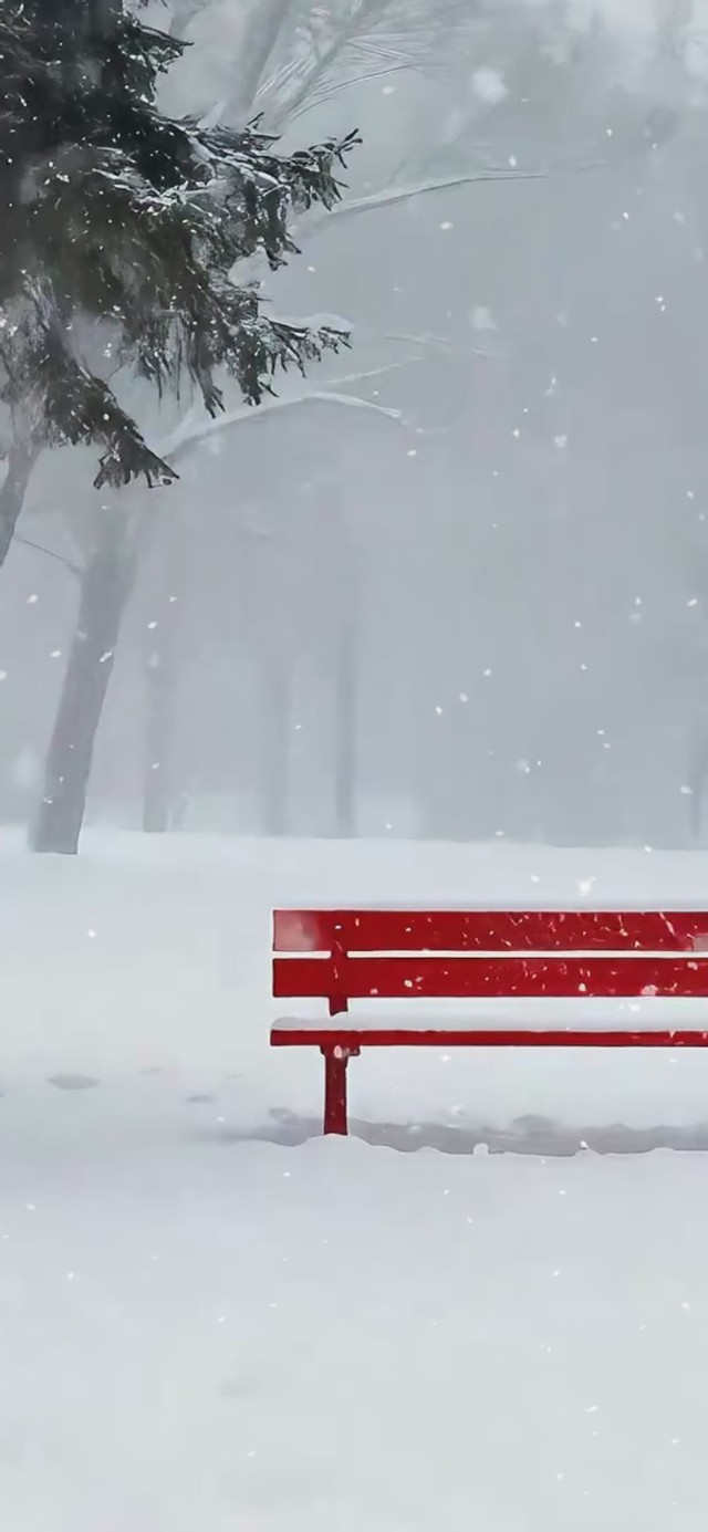 下雪