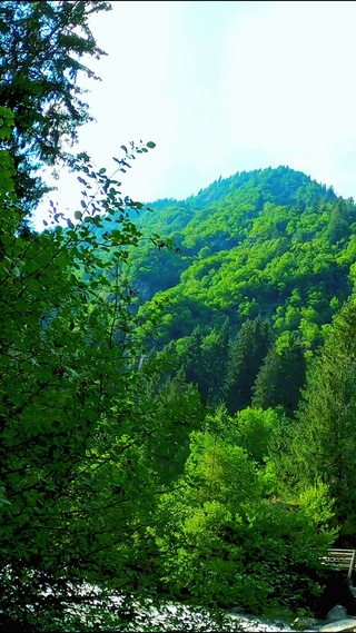 4K唯美山涧瀑布溪流