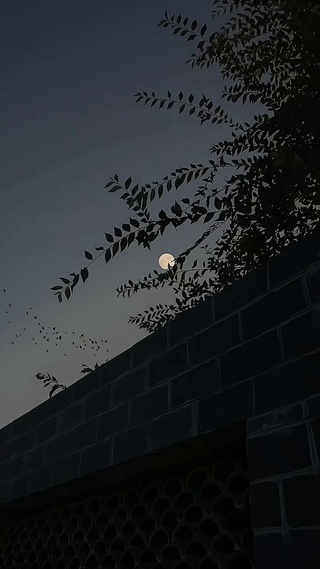 夜空微风