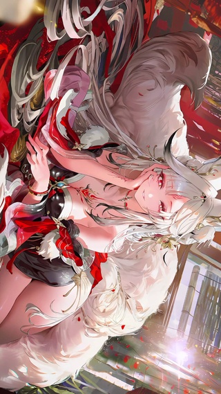 心月狐