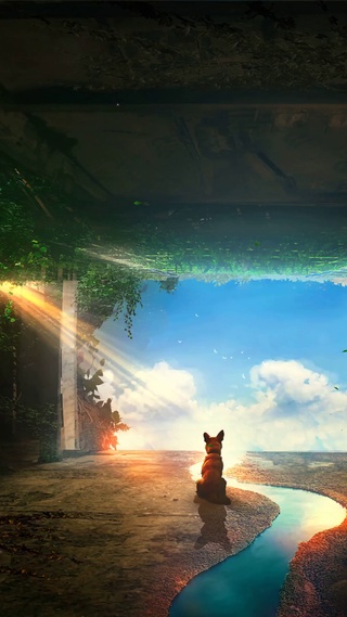 唯美治愈绿色护眼蓝天白云