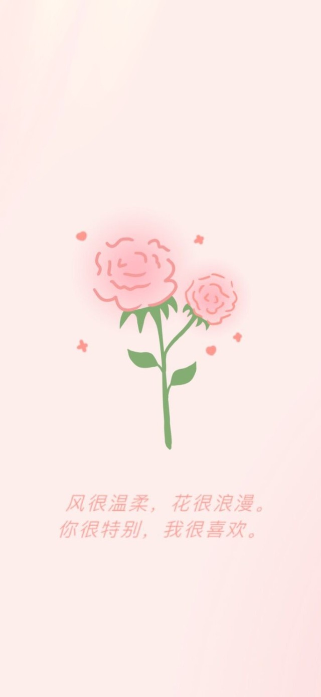 粉玫瑰
