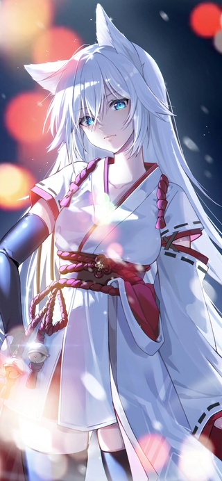 二次元白发猫女
