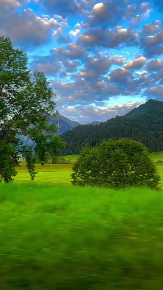 治愈风景