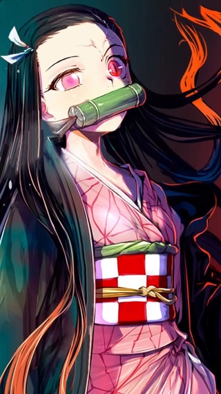 燃向！3d动态祢豆子