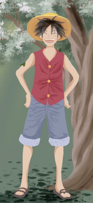 快乐路飞（护眼、励志）