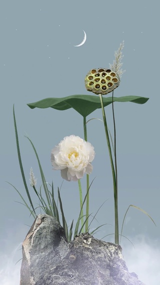 一花一世界