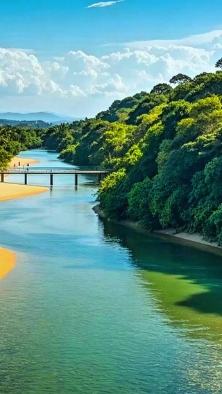 治愈清澈河流4K