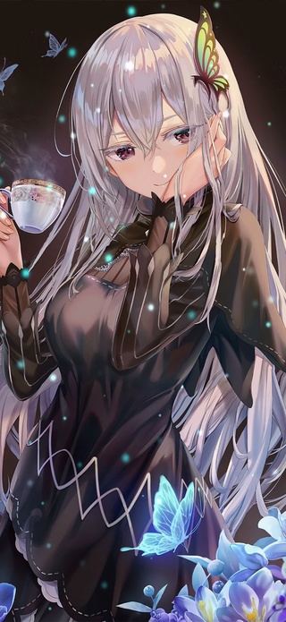 艾姬多娜