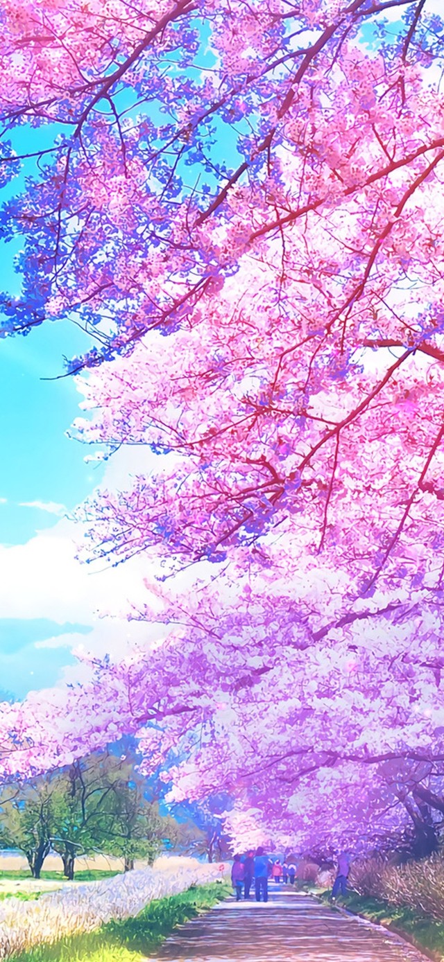 唯美治愈樱花小路