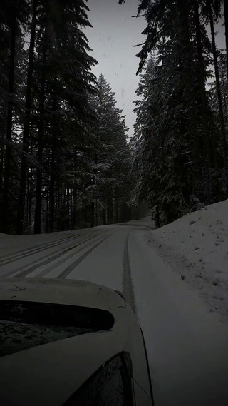 雪夜中行驶