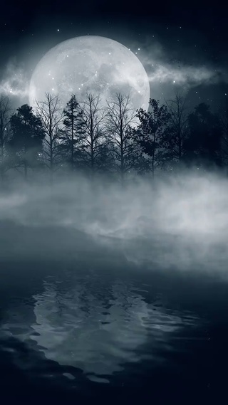 意境夜色