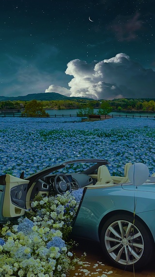 爆款星空花海浪漫汽车