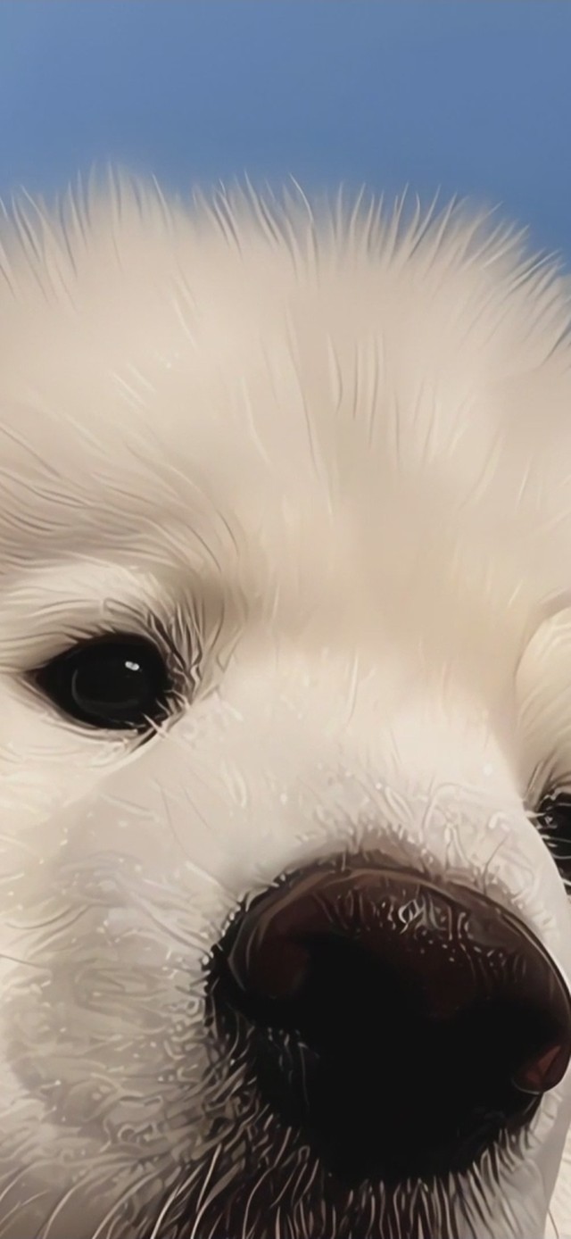 蓝天下的狗子