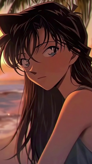 海边落日下的毛利兰