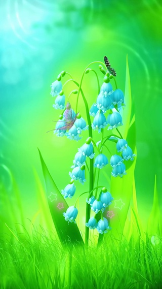 兰玲花