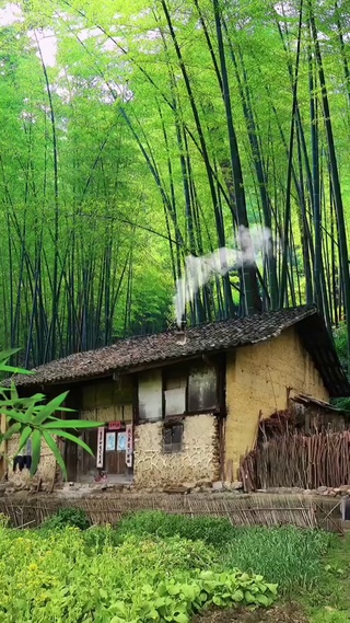 乡村风景