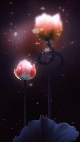一生所爱