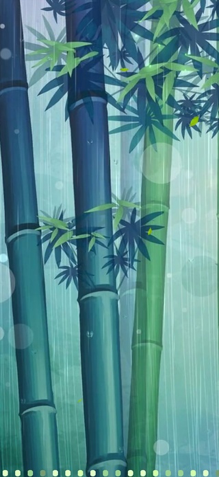 竹林雨护眼