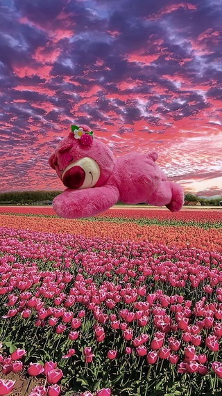 唯美郁金香草莓熊花海