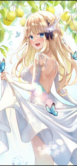 阳光下的蝴蝶婚纱少女