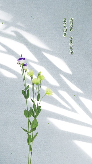 美丽花枝