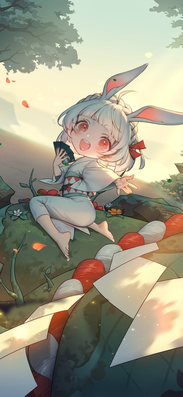夏日阳光森林小兔几