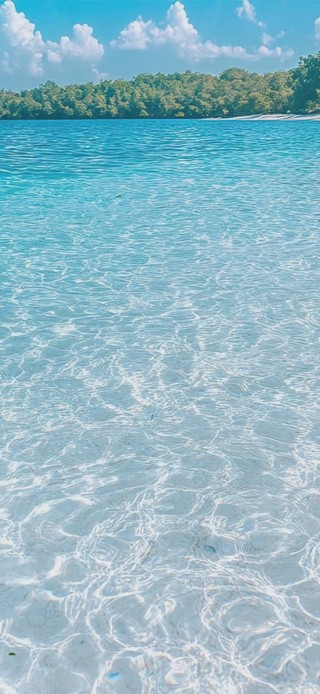 海