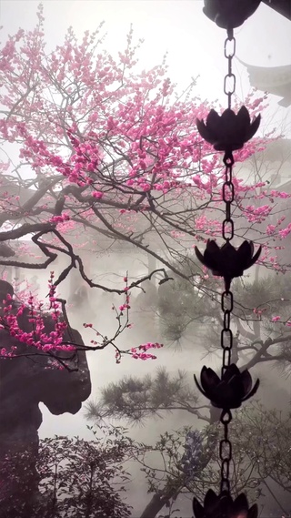 雾气江南
