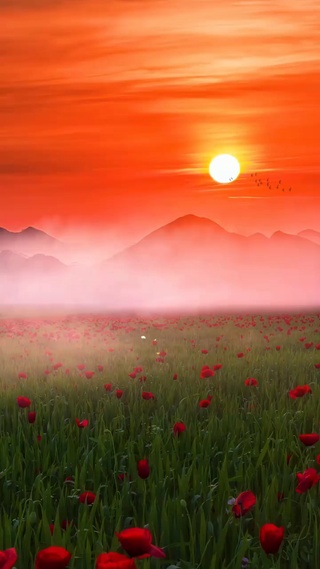 落霞与孤鹜齐飞