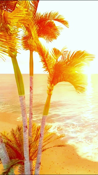 4K唯美夕阳海滩