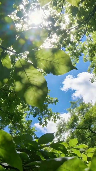 护眼绿景树木