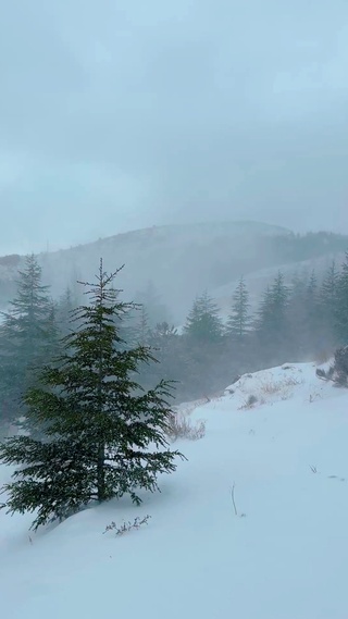 风雪天