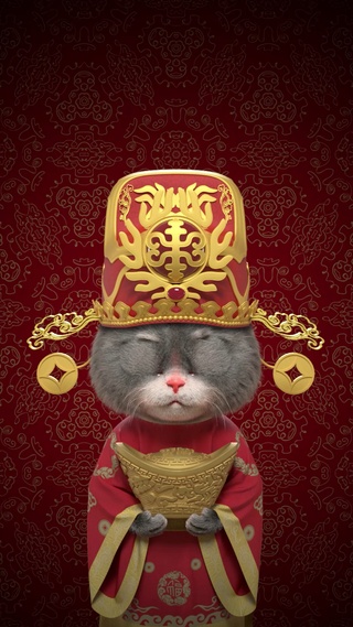 斑布猫-财神到