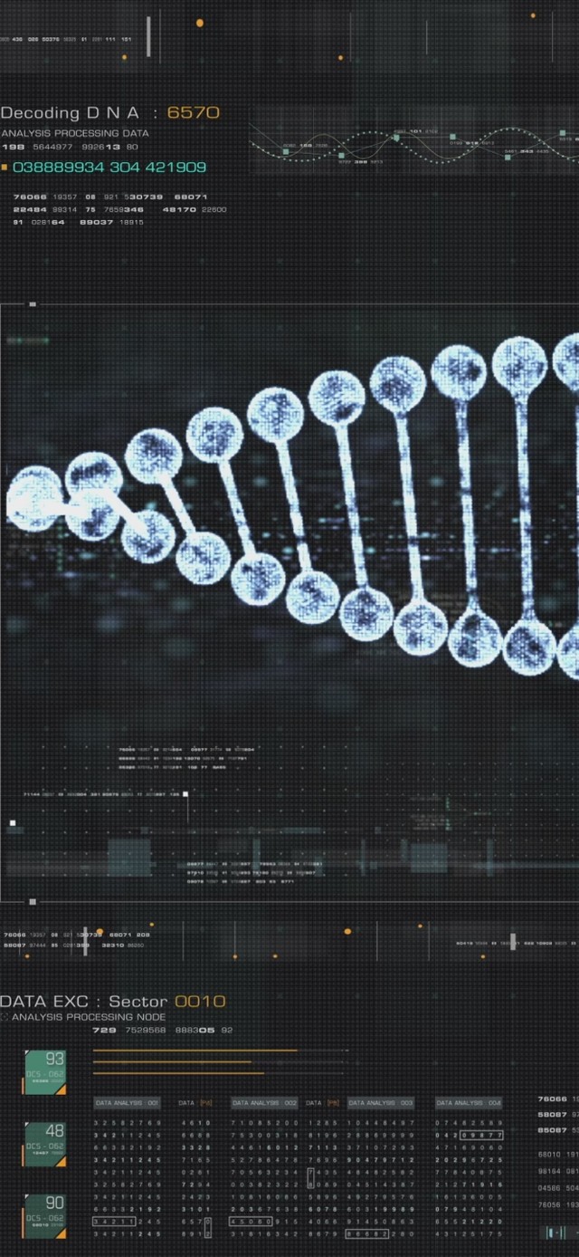 新高科技桌面【系统全组件】