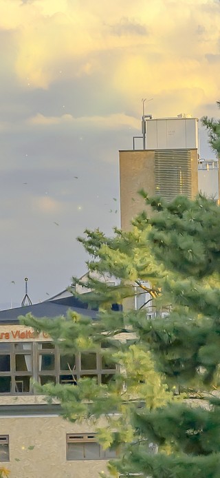 唯美治愈日系城市风景