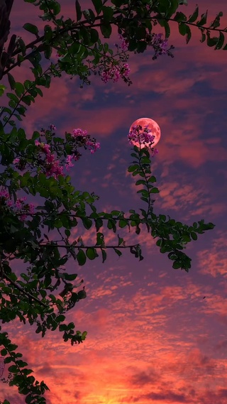 我们要们要永远在一起