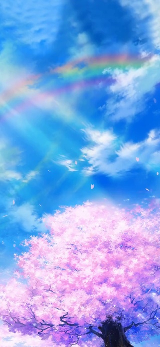 17岁那年的雨季