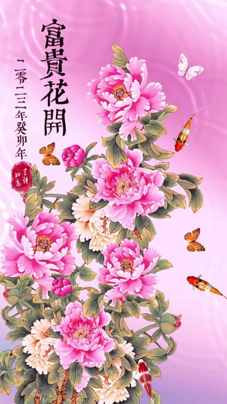 富贵花开