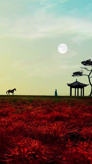 夕阳西下