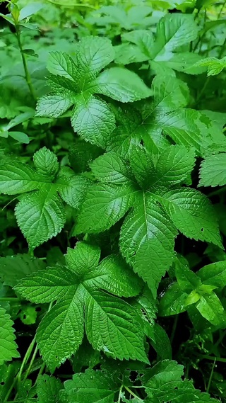 让眼睛休息一下吧