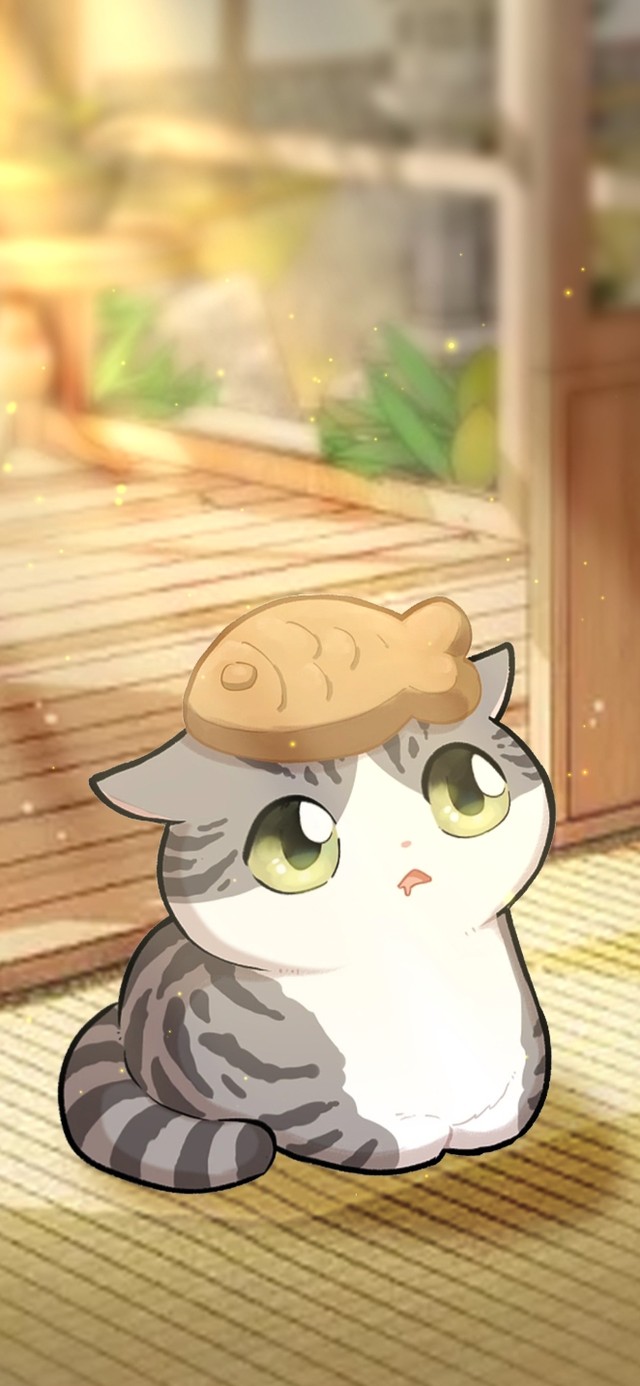 日系私家猫