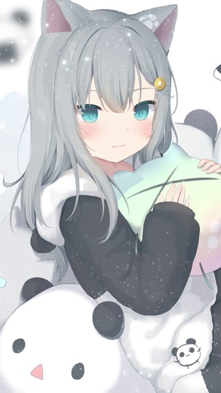 小白猫语