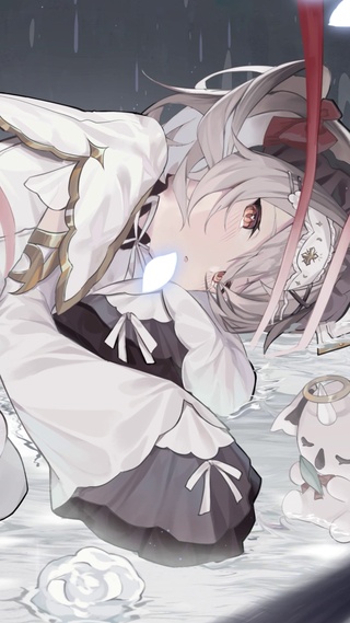 白粥nina