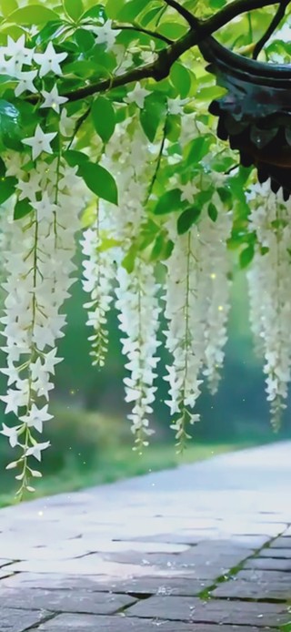 湖边花下凉亭