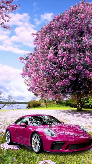 樱花跑车