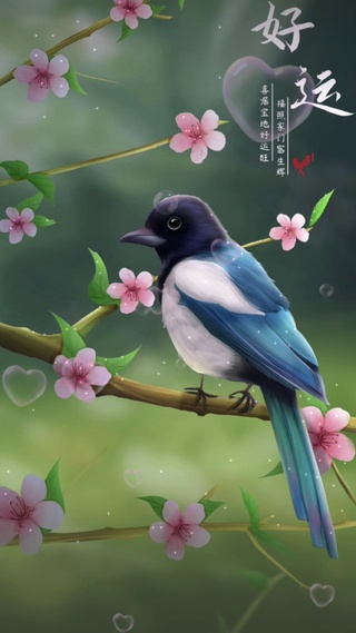 好运喜鹊