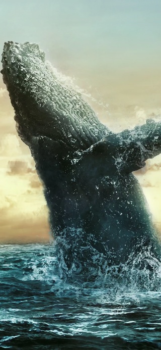 鲸生